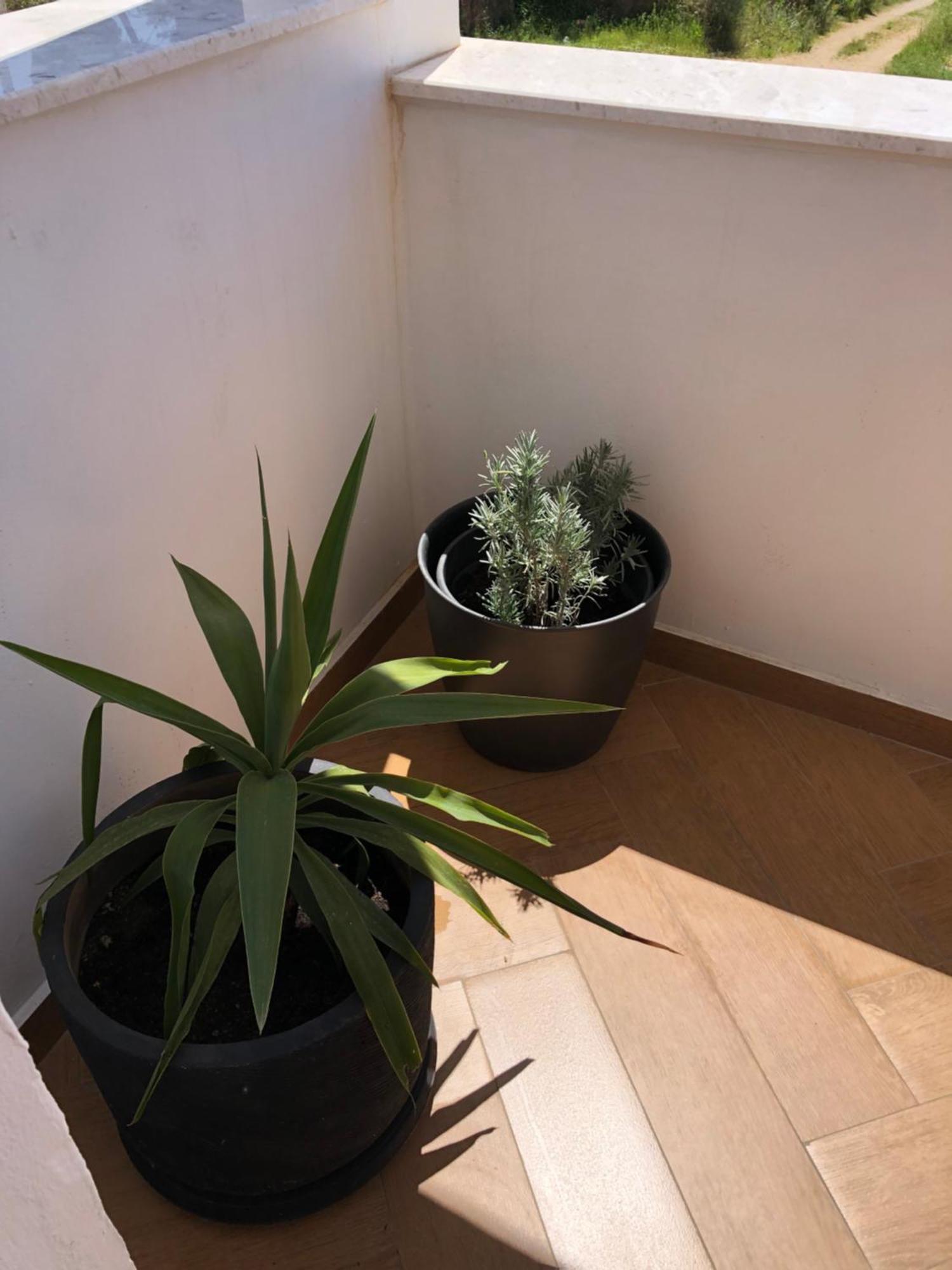 Apartments Lungo Mare Ulcinj Ngoại thất bức ảnh