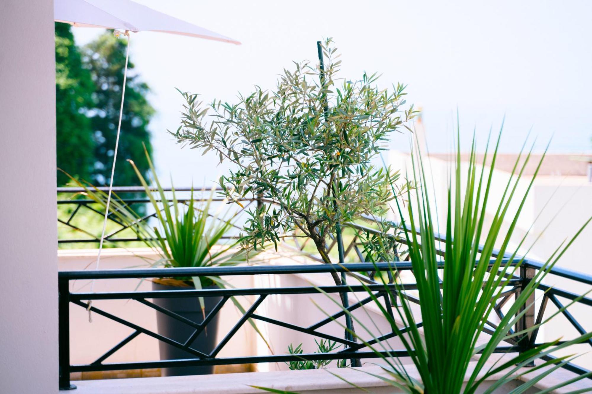 Apartments Lungo Mare Ulcinj Ngoại thất bức ảnh